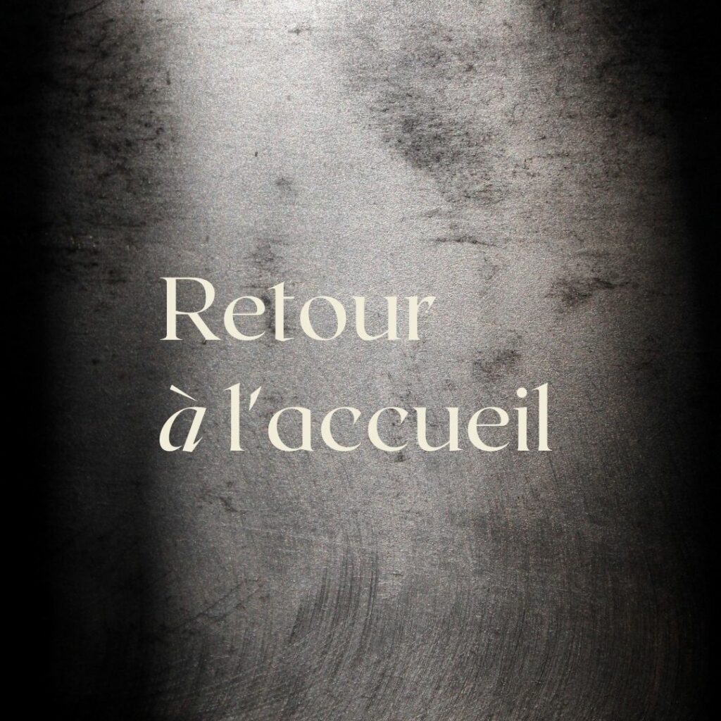 retour a l'accueil