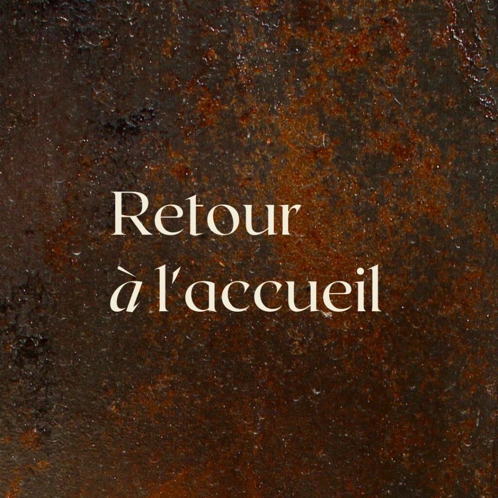 retour à l'accueil