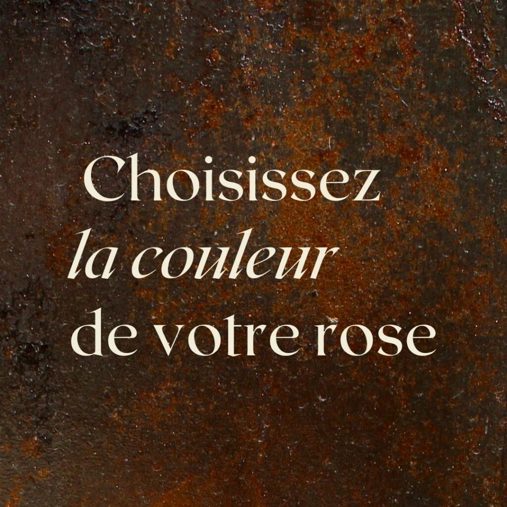 choisissez la couleur de votre rose